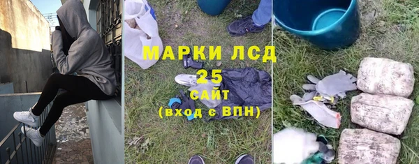 ПСИЛОЦИБИНОВЫЕ ГРИБЫ Алзамай
