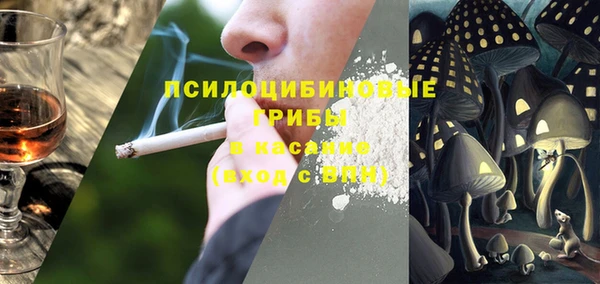 синтетический гашиш Алексин