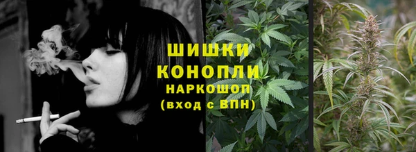 ПСИЛОЦИБИНОВЫЕ ГРИБЫ Алзамай