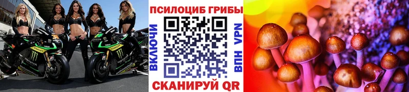 Псилоцибиновые грибы GOLDEN TEACHER  Елец 